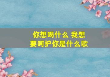 你想喝什么 我想要呵护你是什么歌